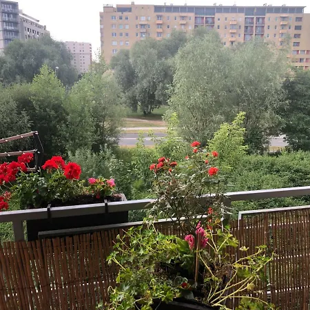 Apartament Marcholta_residence